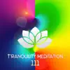 Healing Meditation Zone - Tranquility Meditation 111: Nature Sounds, Spiritual Awakening, Relaxing Music, Zen, Healing Music, Mental Concentration